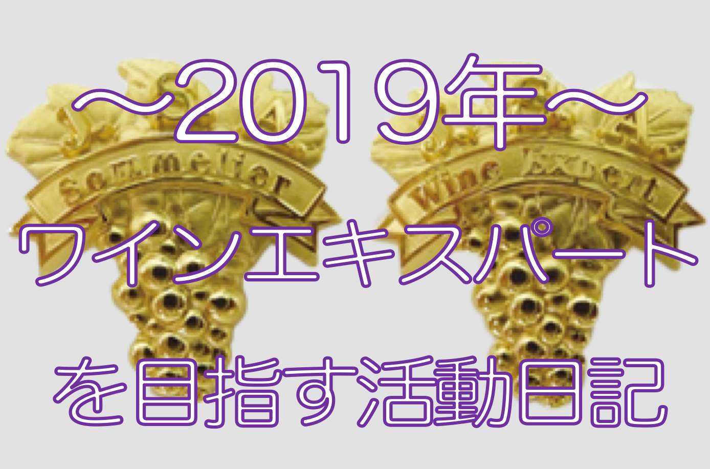 No 17 ワインエキスパート受験記 二次試験合格発表 形から入るワイン生活